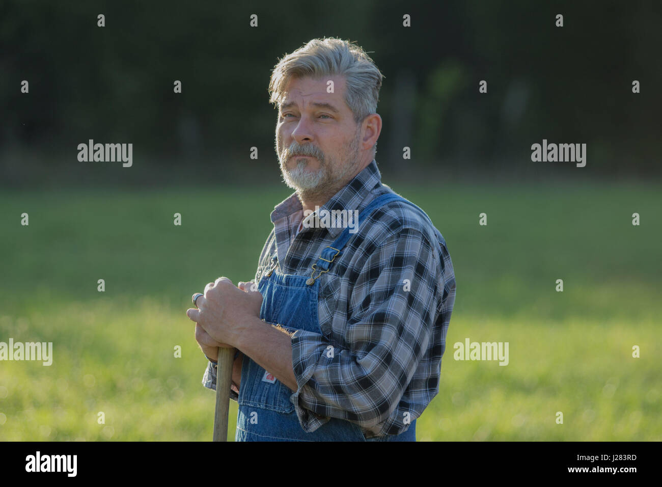 Gartenarbeit Stockfoto