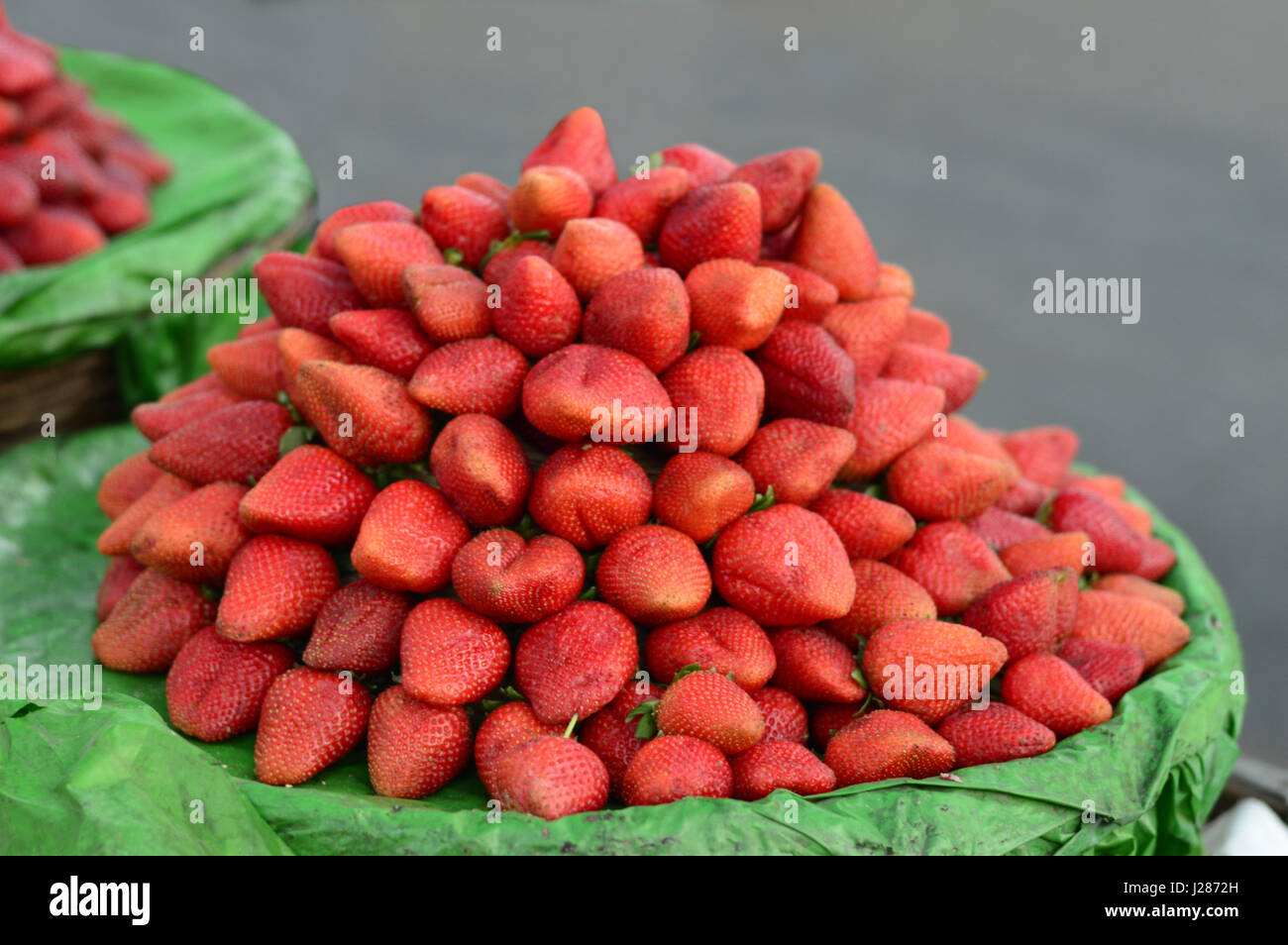 Frische Erdbeeren zum Verkauf auf einem lokalen Markt in Pune, Maharashtra Stockfoto