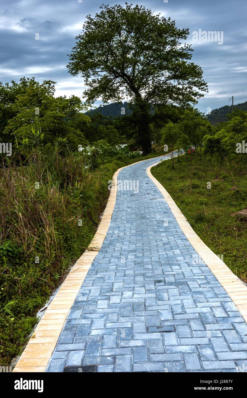 Die Landschaft Straße Landschaft Stockfoto