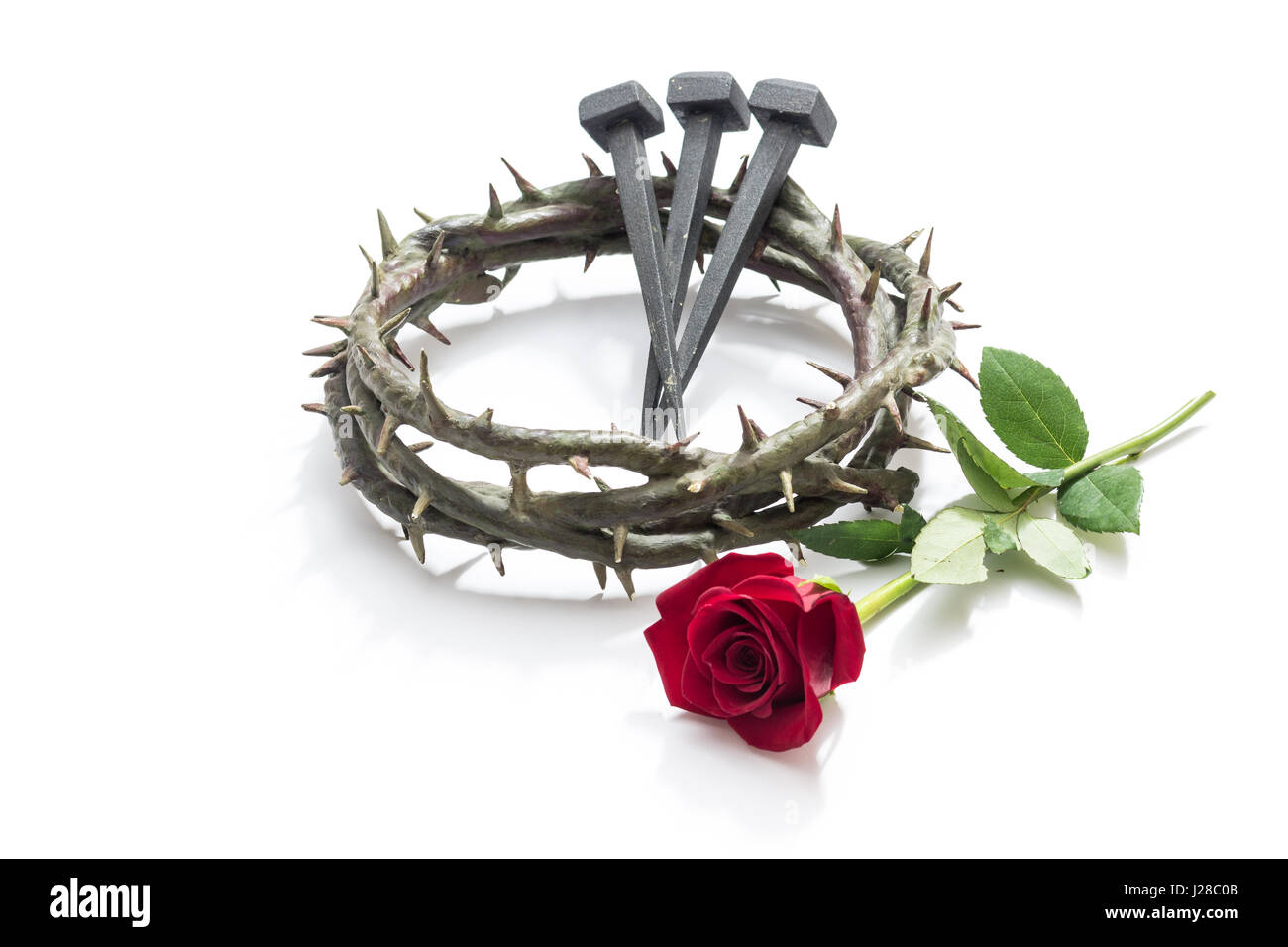 Jesus Christus Krone von Dornen, Nägeln und eine Rose auf weißem Grund. Stockfoto