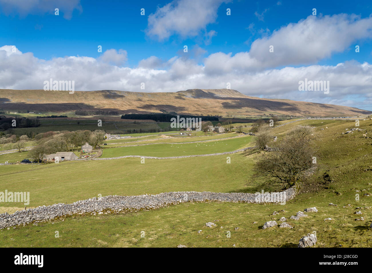 Whernside, Yorkshire Dales National Park. Stockfoto