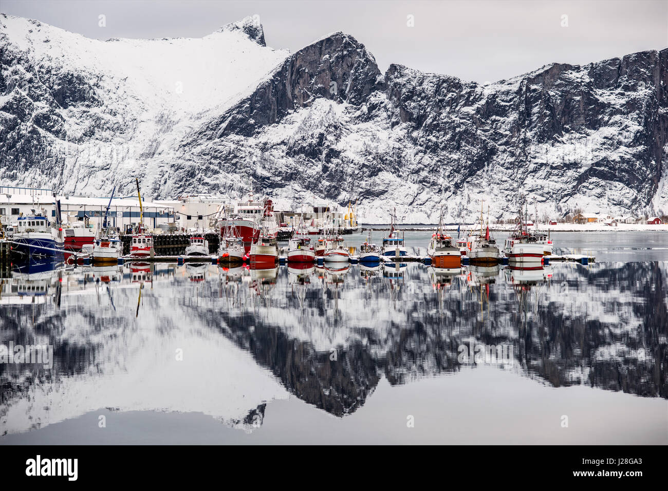 Norwegen, Troms, Senjahopen, dem kleinen Fischerhafen in der Skrei-Saison, links der Fischfabrik. Skrei = Winter Kabel Stockfoto