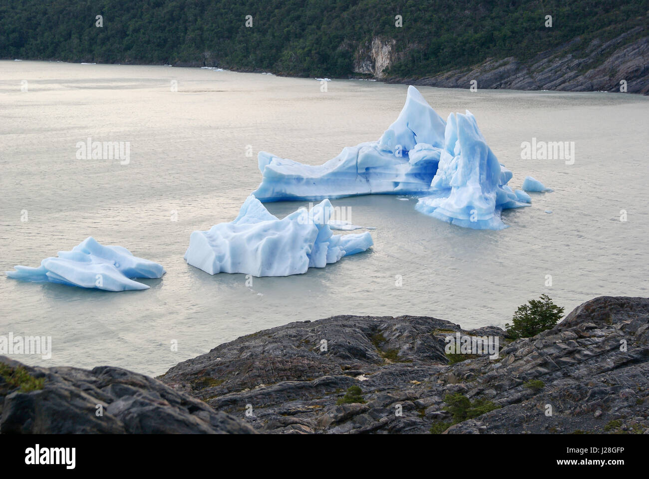 Chile, Nationalpark Torres del Paine, Wanderung, Richtung Gletscher, Lago grau grau Stockfoto