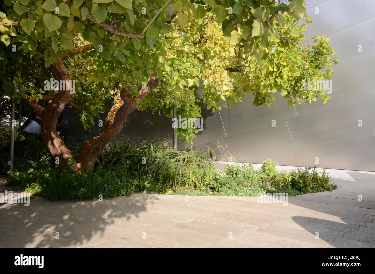 Walt Disney Concert Hall Community Park Stockfoto