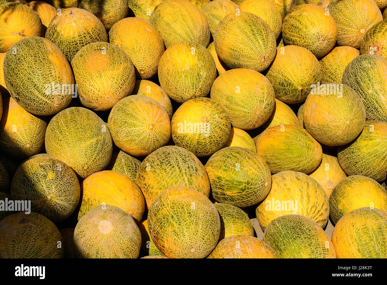 Usbekistan, Provinz Buxoro, Jondor Tumani, am Straßenrand dort sind viele Melone-Händler. Hier hat die Frau das Wort Stockfoto