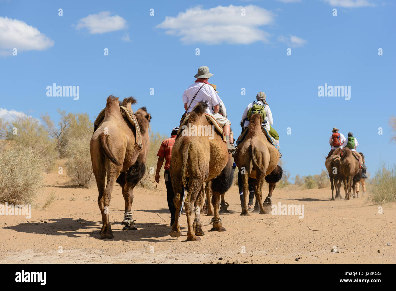 Usbekistan, Nurota Tumani, Camelsafari in der Kizilkum-Wüste Stockfoto