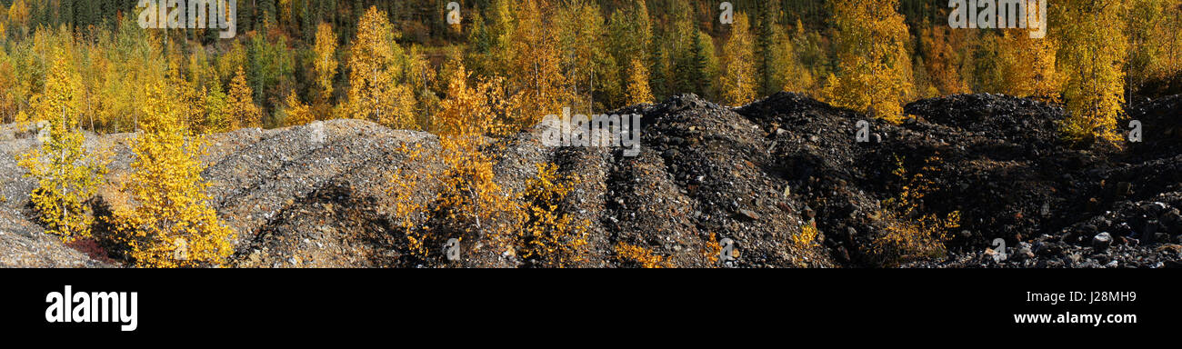 Panorama von Kies Pfähle aus gold Baggerarbeiten am Bonanza Creek, Dawson, Yukon, Kanada Stockfoto