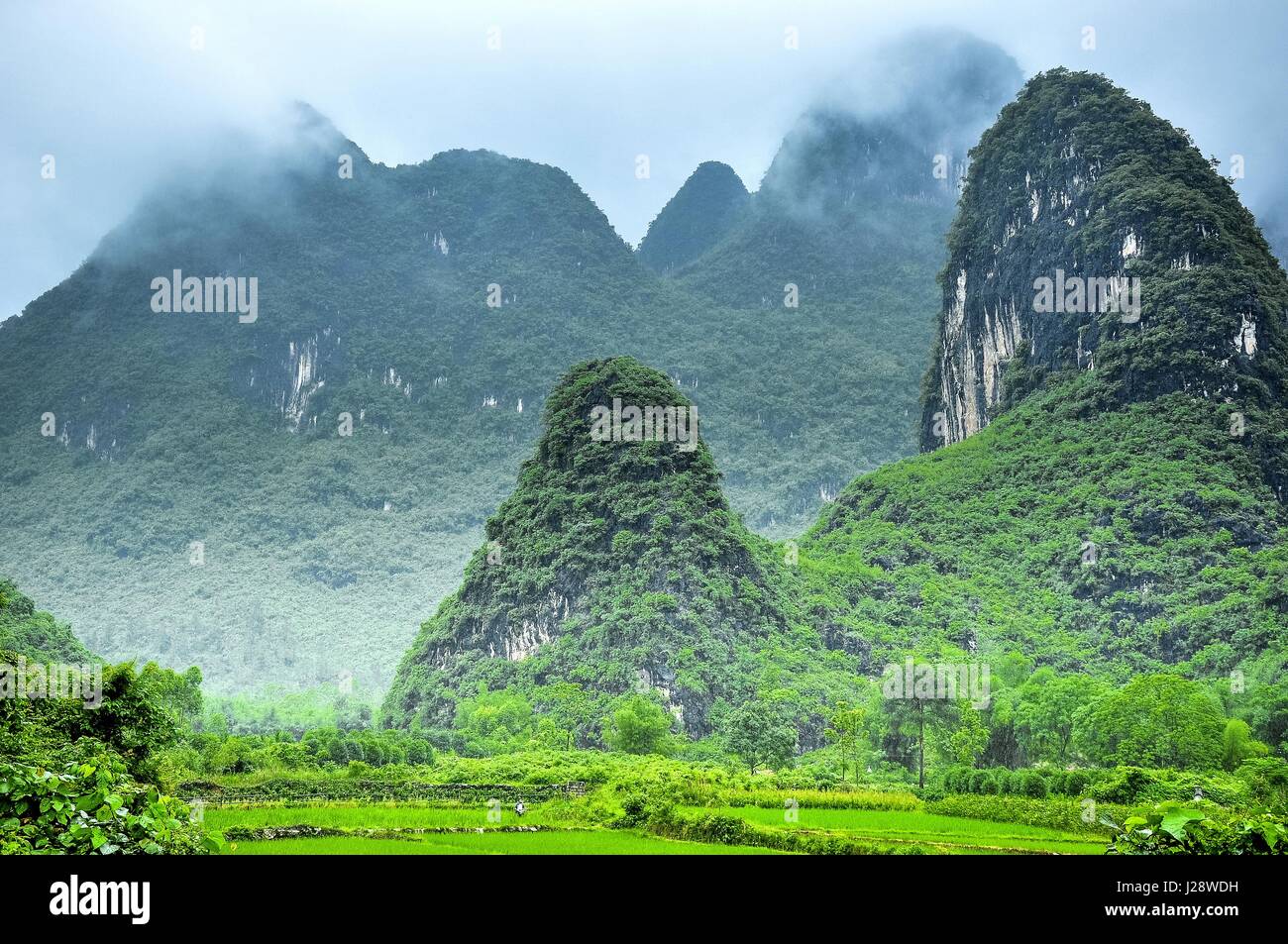 Berge-Landschaft im Nebel Stockfoto