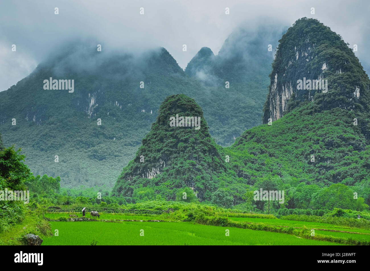 Berge-Landschaft im Nebel Stockfoto