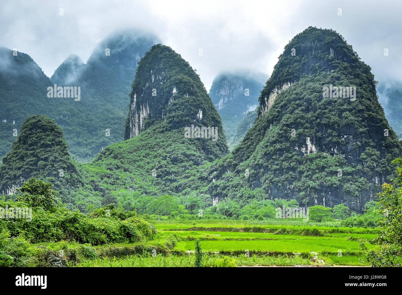 Berge-Landschaft im Nebel Stockfoto