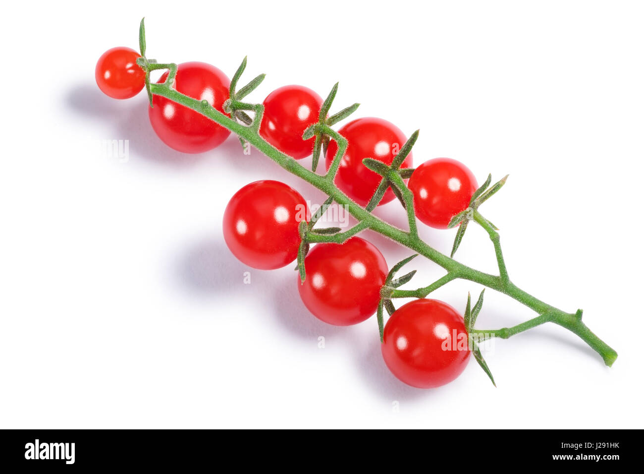 Johannisbeere Erbse Tomaten (Solanum Pimpinellifolium) Cluster. Schneidepfade, Schatten Sie getrennt, Top Aussicht Stockfoto