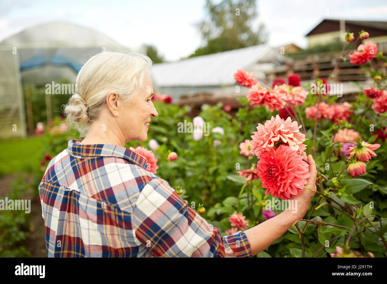 ältere Frau mit Blumen im Sommergarten Stockfoto