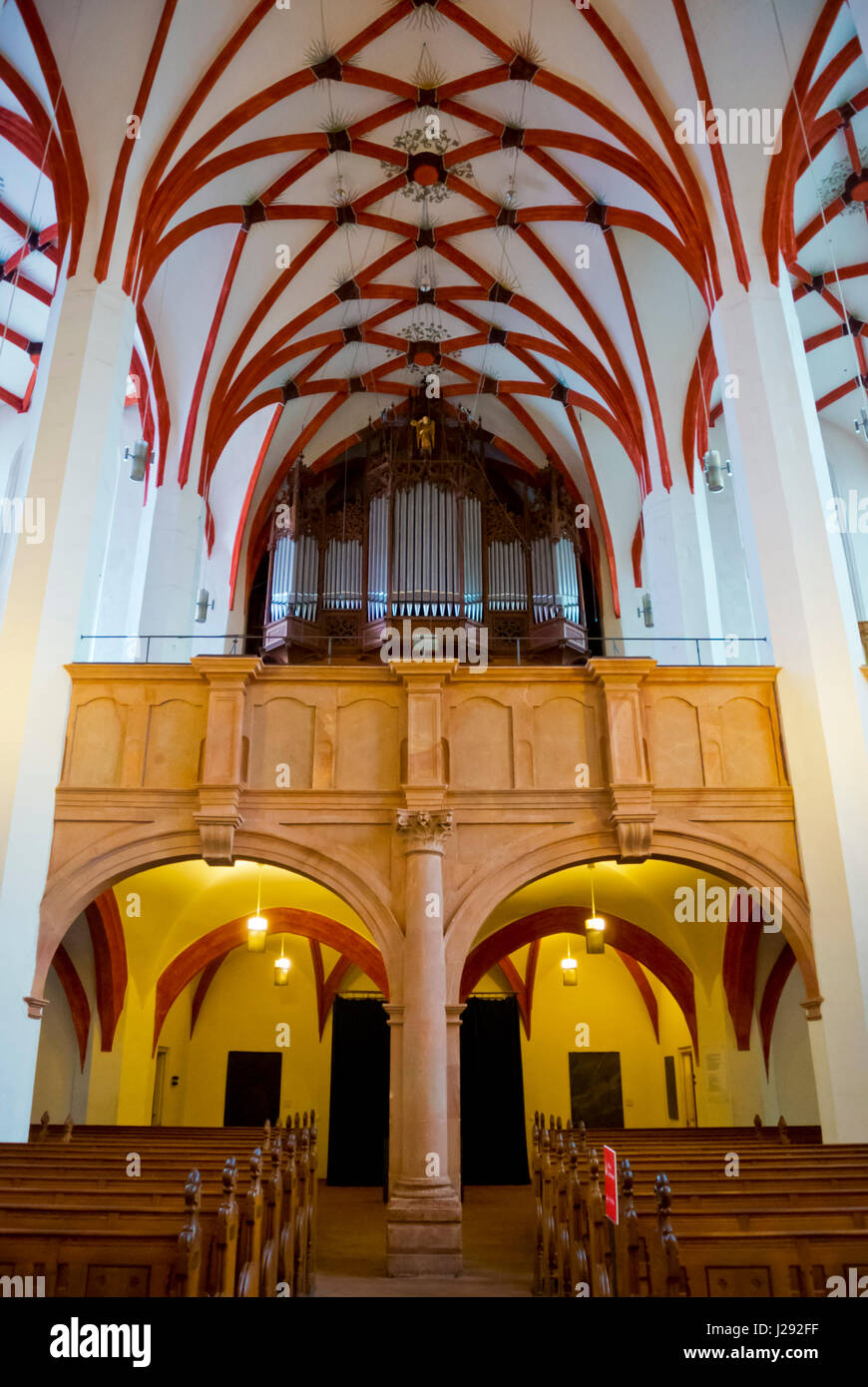 Thomskirche, St. Thomas-Kirche, Altstadt, alte Stadt, Leipzig, Sachsen, Germany Stockfoto