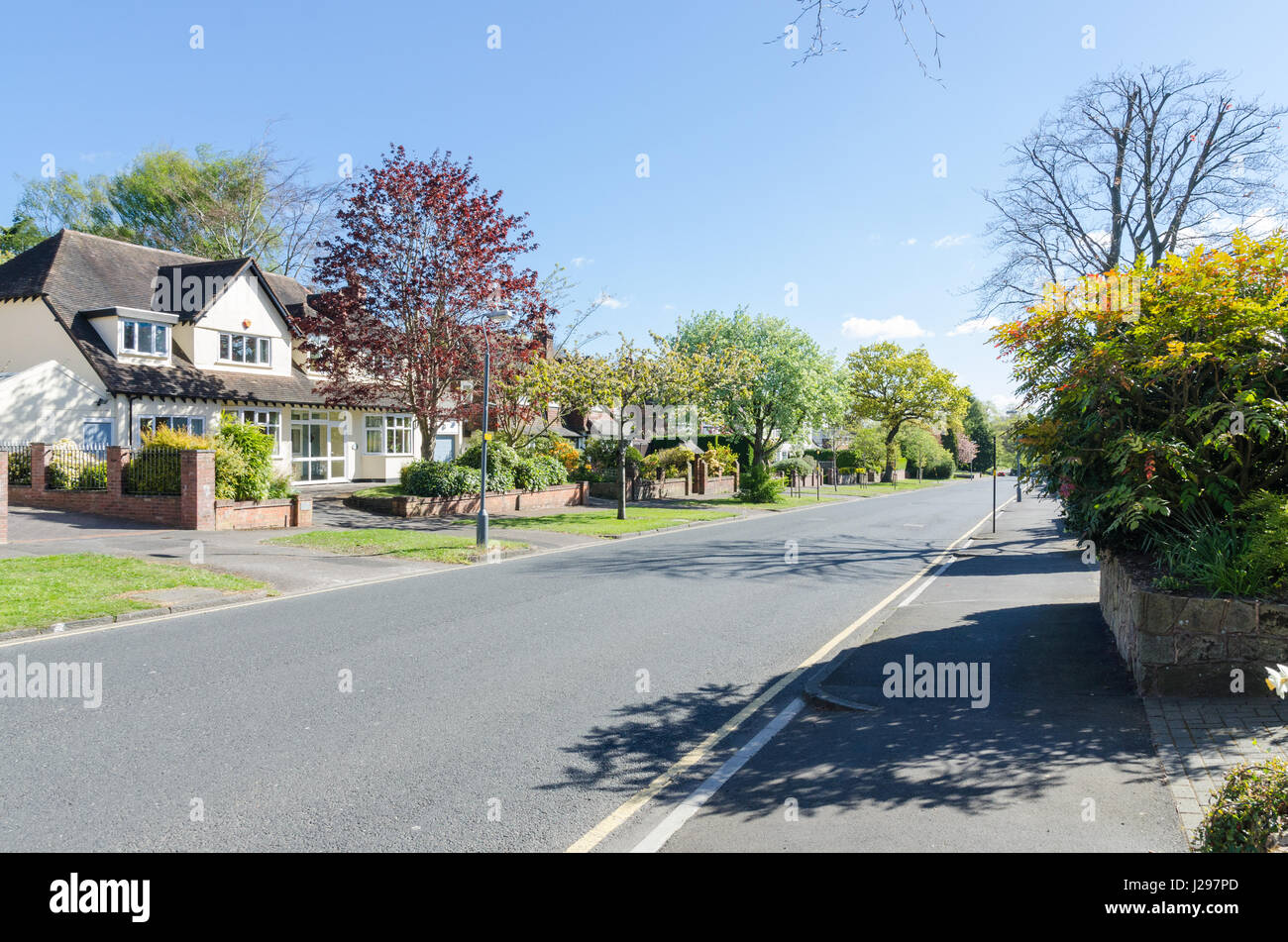 Große Häuser in Barlows Road im Stadtteil Birmingham smart Harborne Stockfoto