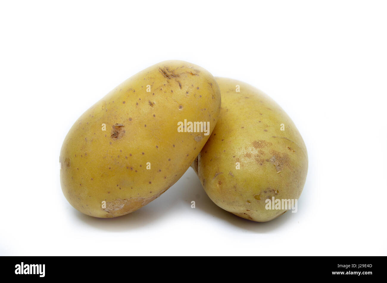 Ratte-Kartoffeln-Heap isoliert auf weißem Hintergrund Stockfoto