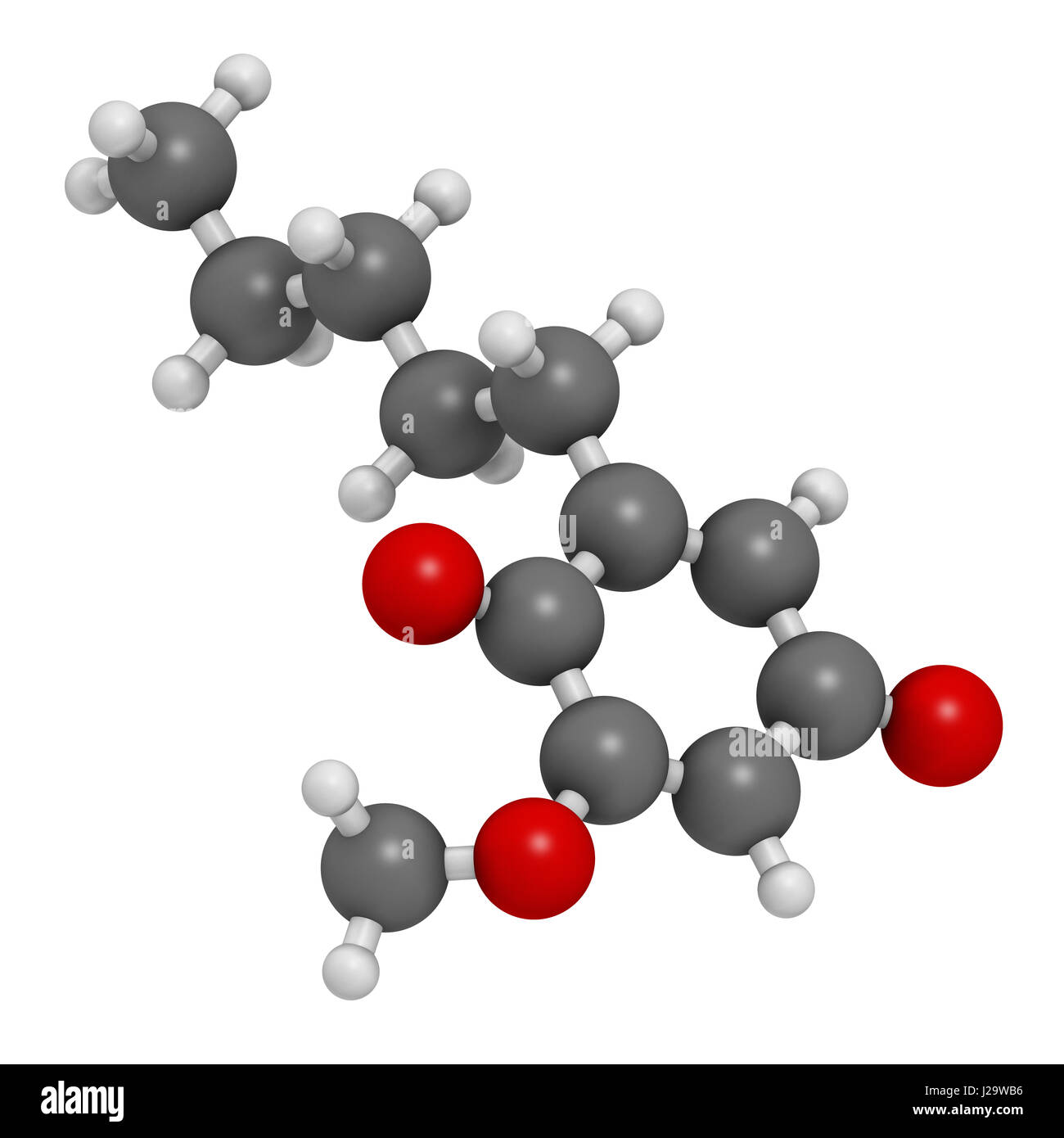 Primin Primel Pflanze Allergen Molekül. 3D-Rendering. Atome sind als Kugeln mit konventionellen Farbcodierung vertreten: Wasserstoff (weiß), Kohlenstoff (grau Stockfoto