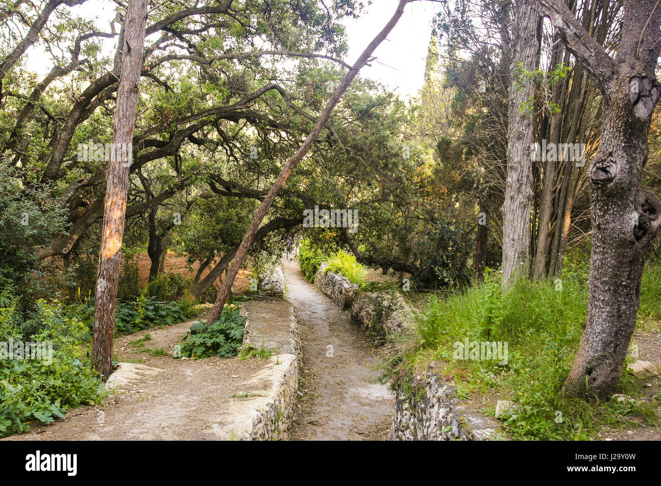 Buskett Gardens, Malta Stockfoto