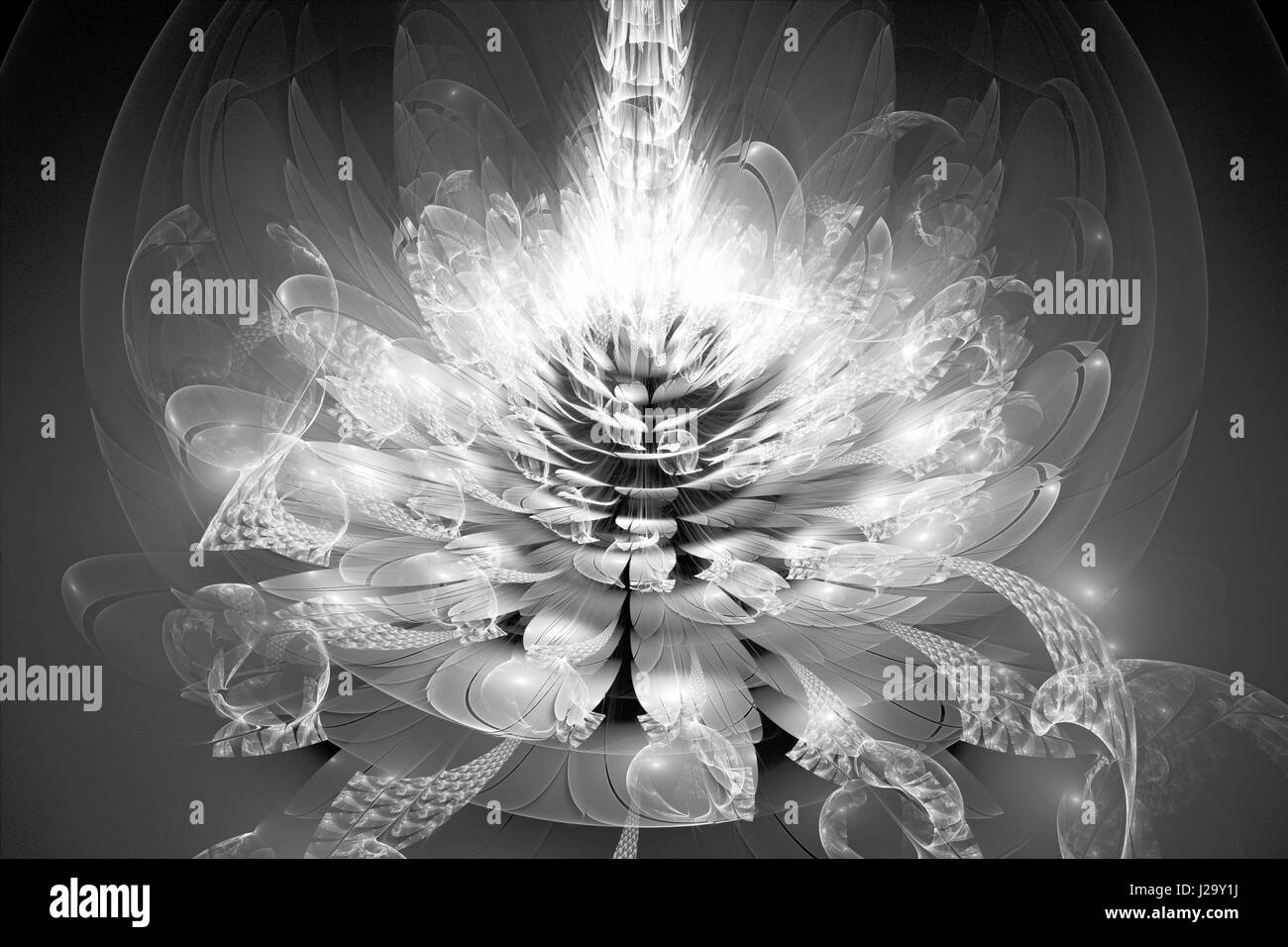 Fraktale Blume Intensität, schwarz und weiß, computergenerierten abstrakten Kartenhintergrund, 3D rendering Stockfoto