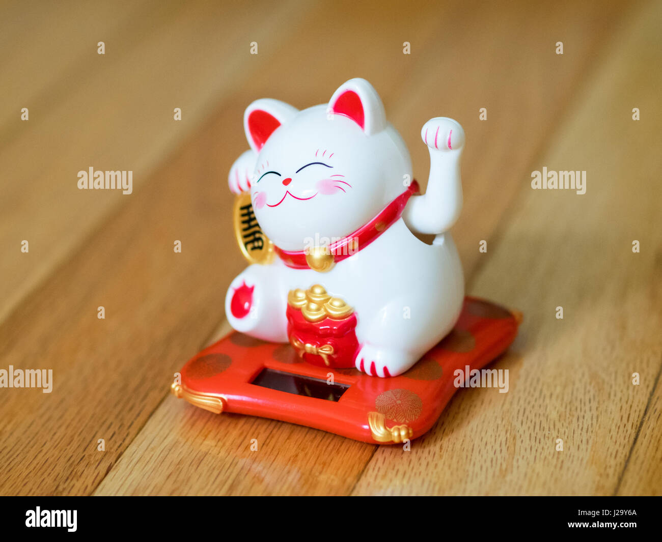 Maneki-Neko (buchstäblich, "winkte Katze" auf Japanisch, auch bekannt als eine glückliche Katze, chinesische lucky Cat oder happy Cat) Figur. Eine beliebte Glücksbringer. Stockfoto