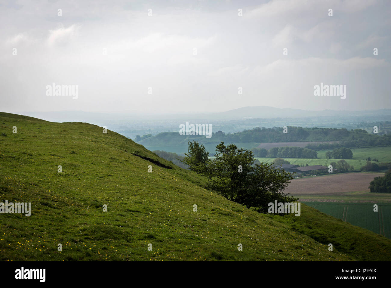 Whitesheet Hill in der Nähe von Mere, Wiltshire, UK Stockfoto