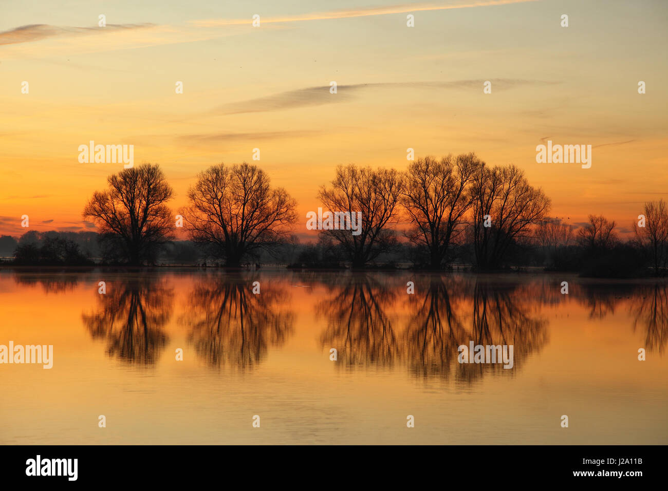 IJssel, Bäume spiegelt sich im Wasser bei Sonnenaufgang Stockfoto