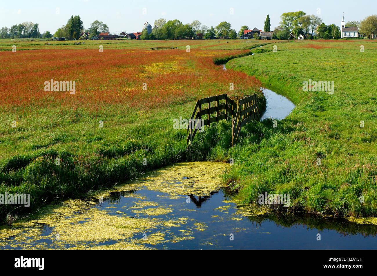 Eindruck der Polder Waterland im Frühling Stockfoto