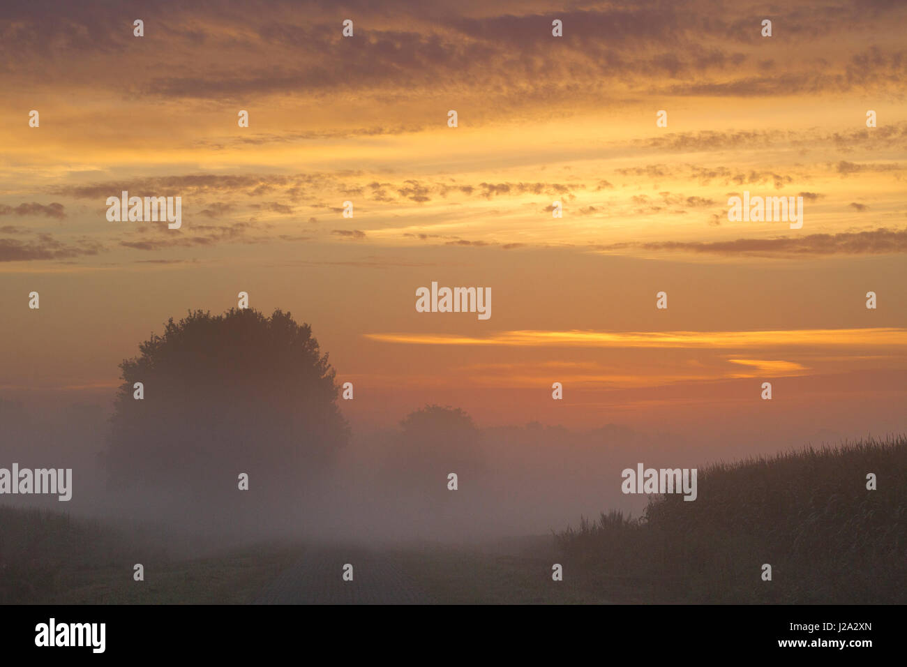 Morgen rote und Nebel Stockfoto