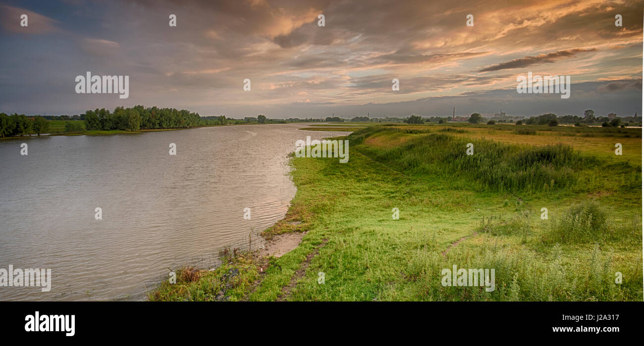 Flussauen in der Nähe von Randwijk Stockfoto