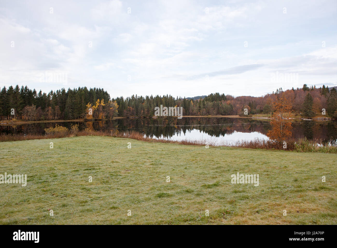 Wunderschöne herbstliche Landschaft westlich von Norwegen. Stockfoto