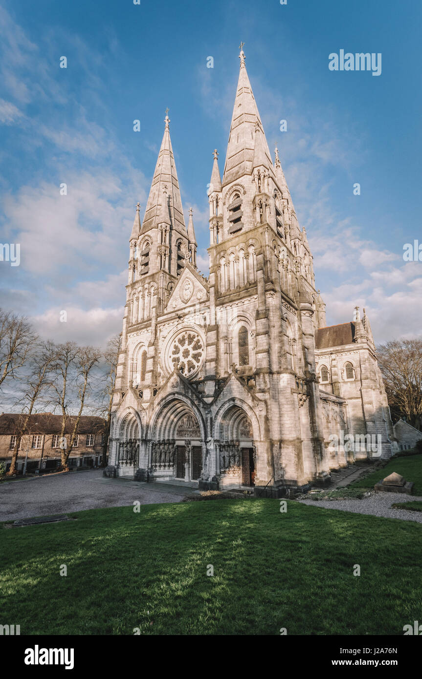 Saint Fin Barre Kathedrale, Co. Cork, Irland Stockfoto