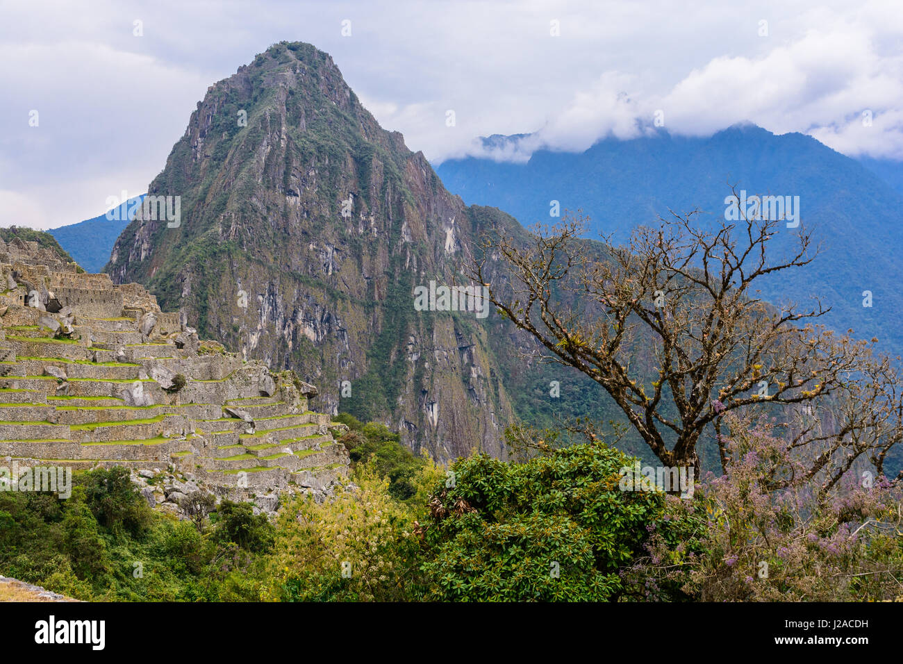 Peru, Cusco, Urubamba, Machupicchu ist ein UNESCO-Weltkulturerbe Stockfoto