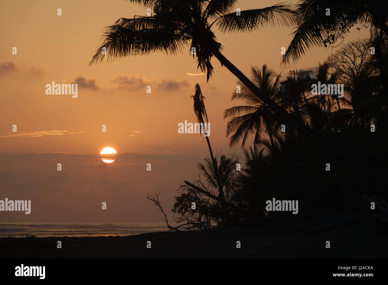 Palm-Bäume-Silhouette bei Sonnenuntergang mit großen Sonne hinter Wolken Stockfoto
