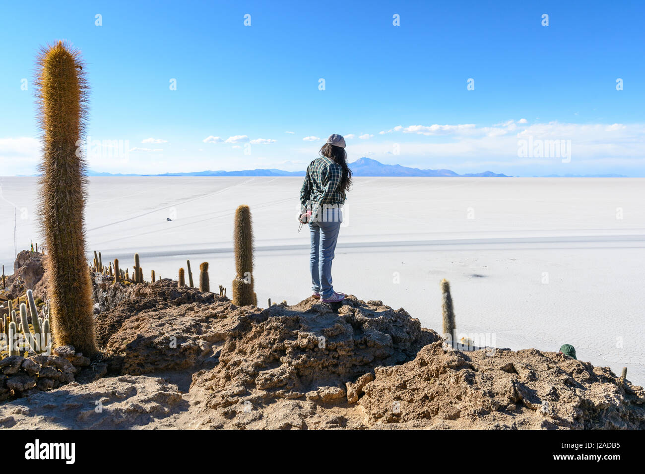 Bolivien, Departamento de Potosí, Uyuni, Isla Incahuasi. Die Kakteen auf der Insel im Salz sind bis zu 1000 Jahre alt Stockfoto