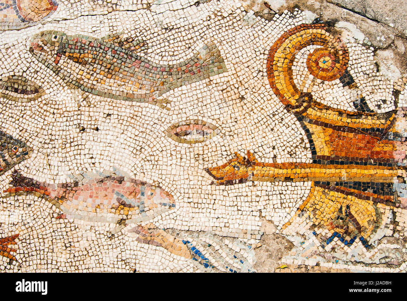 Mosaik, Utica punischen und römischen archäologischen Stätte, Tunesien, Nordafrika Stockfoto