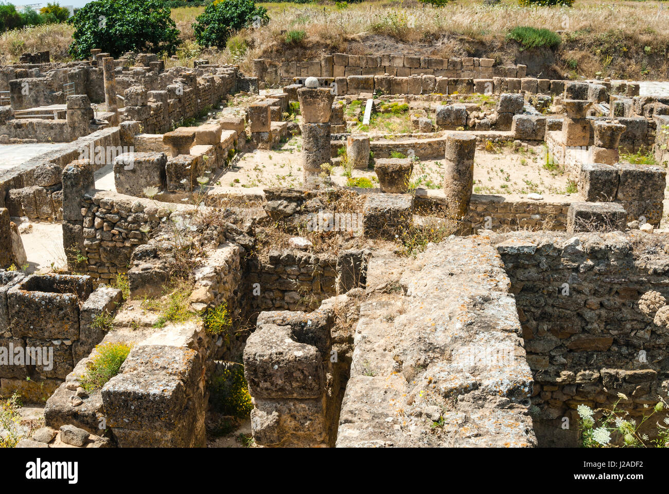 Utica punischen und römischen archäologischen Stätte, Tunesien, Nordafrika Stockfoto