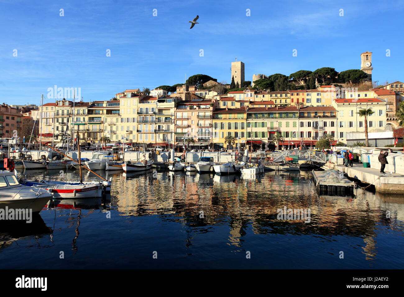 Cannes, Alpes Maritimes, 06, Provence-Alpes-Côte d'Azur, Französische Riviera, Frankreich, Europa Stockfoto