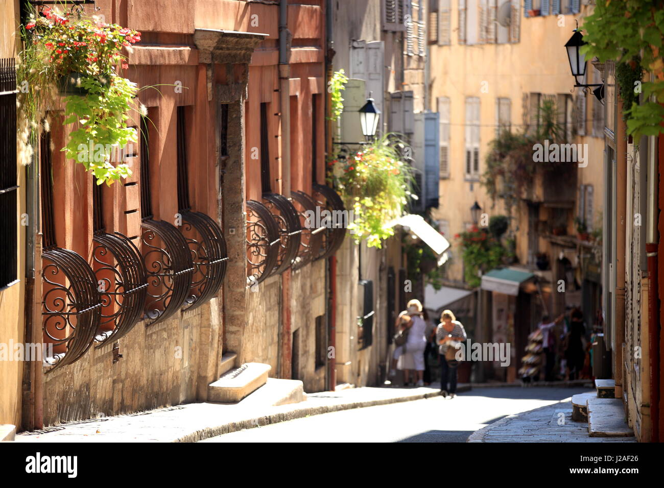 Grasse, Parc regional des Prealpes d ' Azur, Vallee de l'Esteron, Alpes-Maritimes, 06, PACA, Frankreich Stockfoto