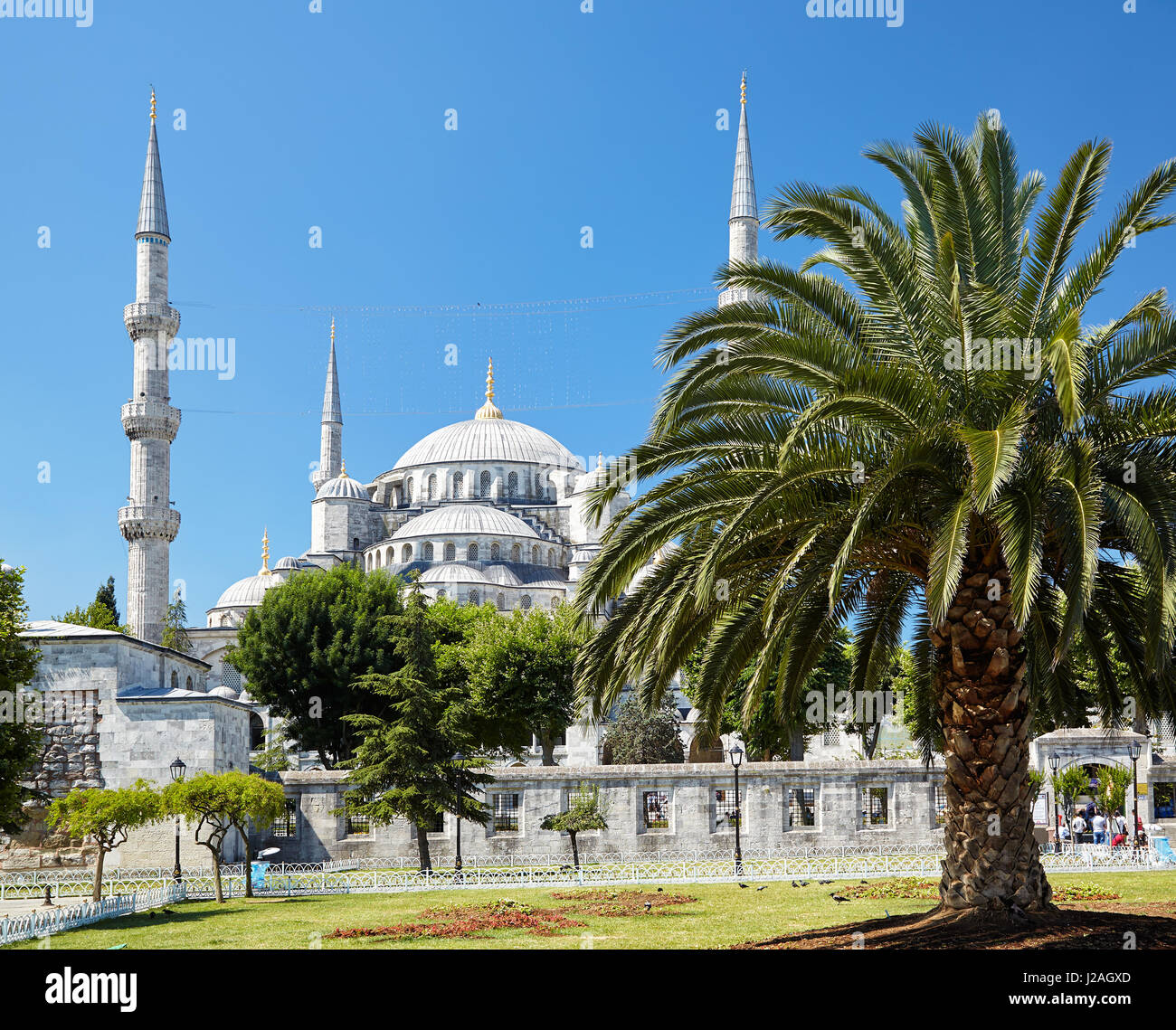 Die Ansicht der Sultan Ahmed Mosque - blaue Moschee von Sultan Ahmet Park, Istanbul, Türkei. Stockfoto