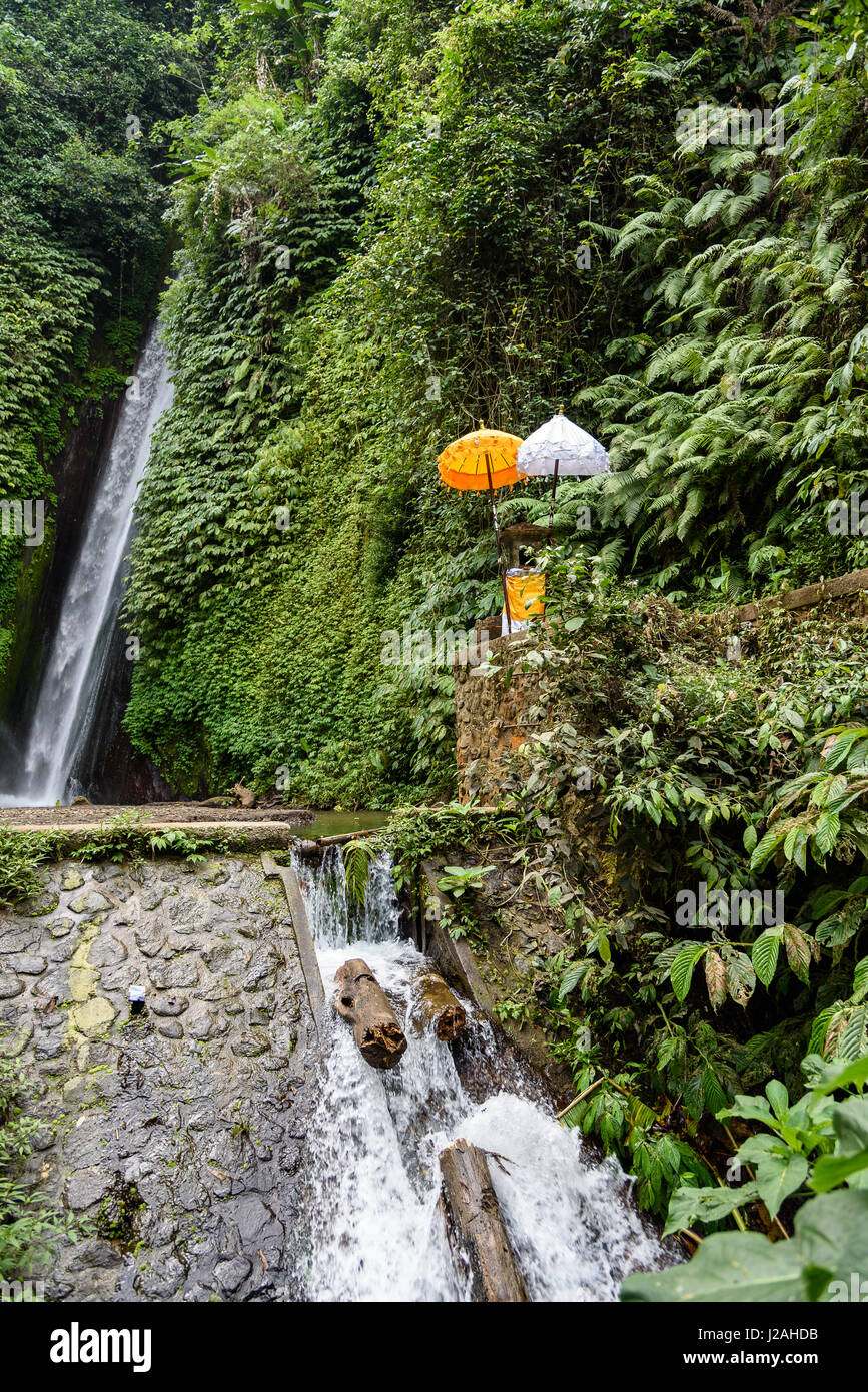 Indonesien, Bali, Kabul Buleleng, Wasserfall Stockfoto