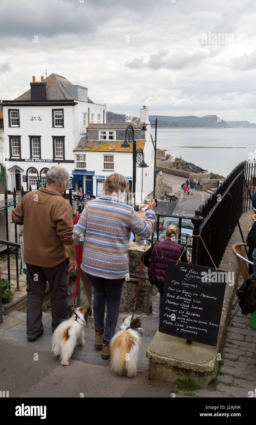 Hundewiesen UK - zwei Personen zwei Hunden in der Stadt spazieren, Lyme Regis, Dorset UK Stockfoto