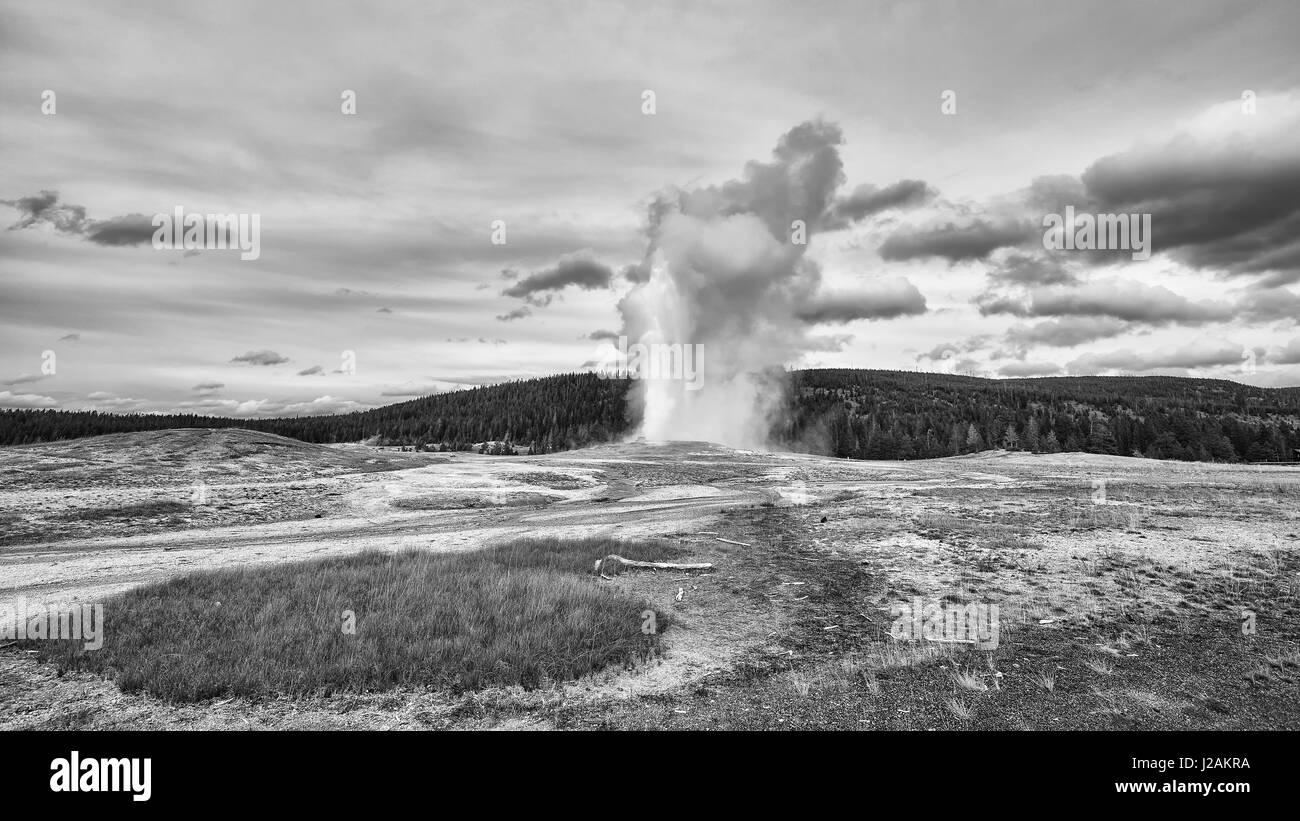 Schwarz / weiß Bild der Geysir Ausbruch im Yellowstone-Nationalpark, Wyoming, USA. Stockfoto