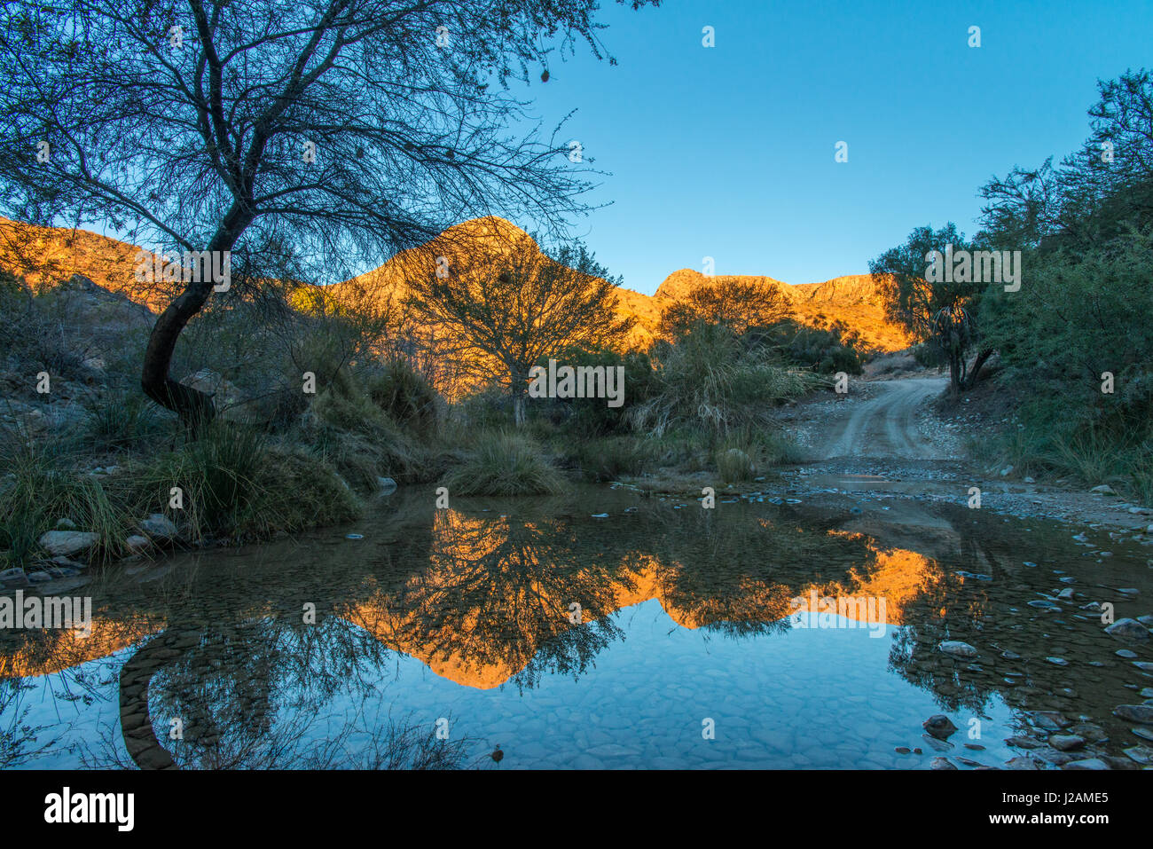 Wüste Berge und blauer Himmel spiegeln sich perfekt in einem kleinen Teich rechts auf einen Feldweg - Namibia Stockfoto