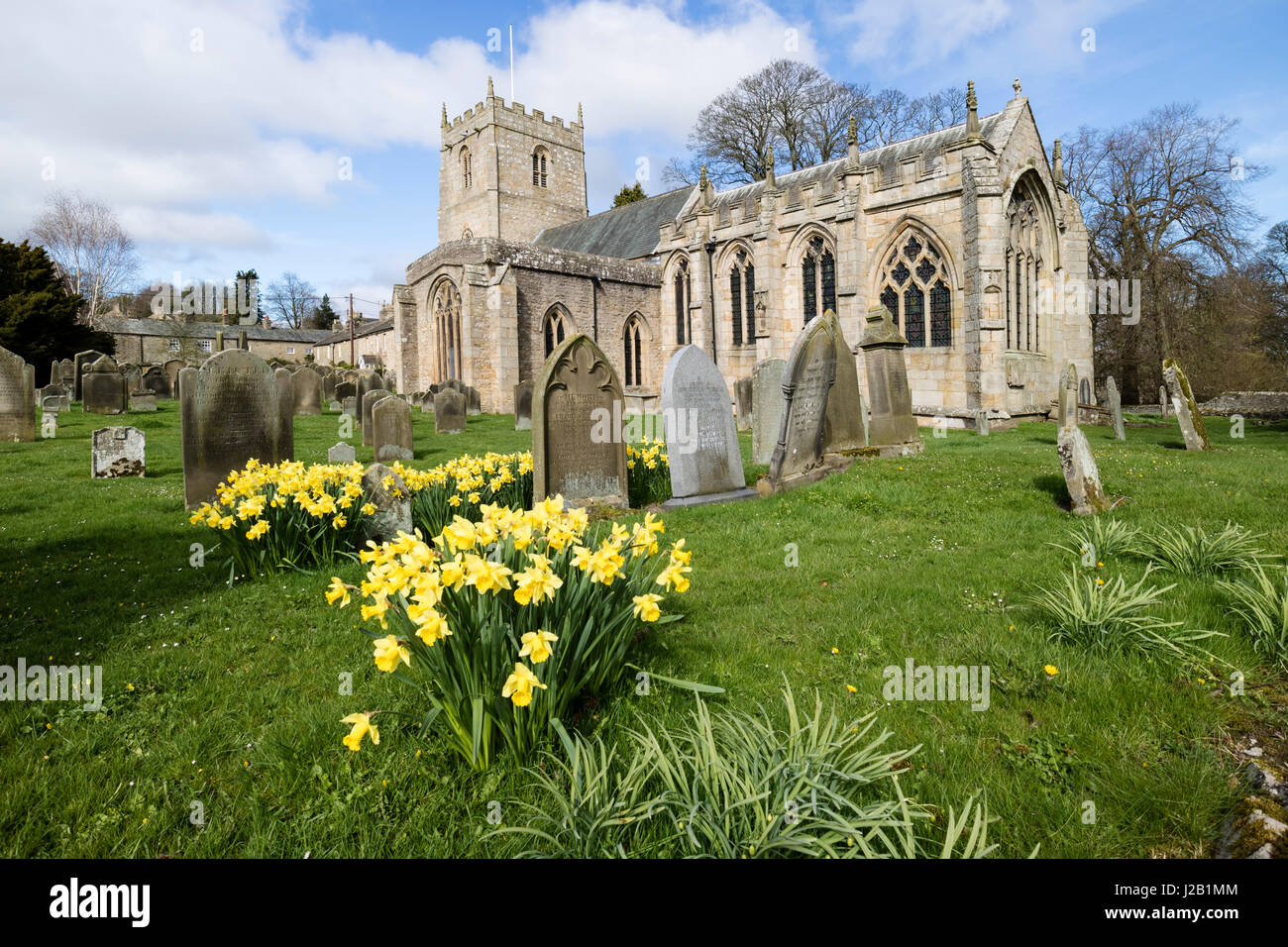 Narzisse Blumen in der Frühlingssonne, Rolmaldkirk Kirche, Teesdale, County Durham, Großbritannien Stockfoto