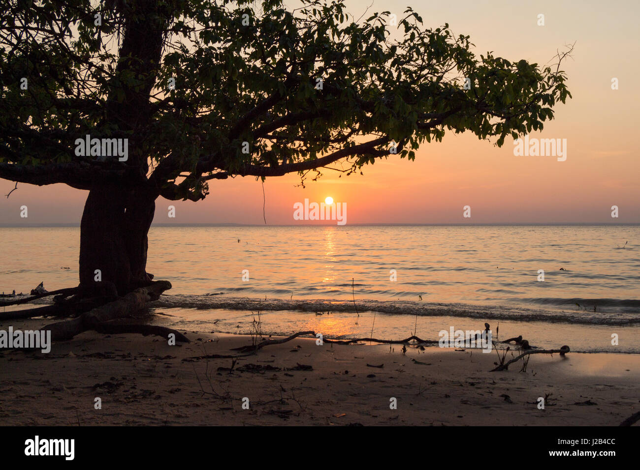 Sonnenuntergang in der Tapajos River, in den Amazonas-Regenwald, Alter Do Chao, Brasilien. Stockfoto