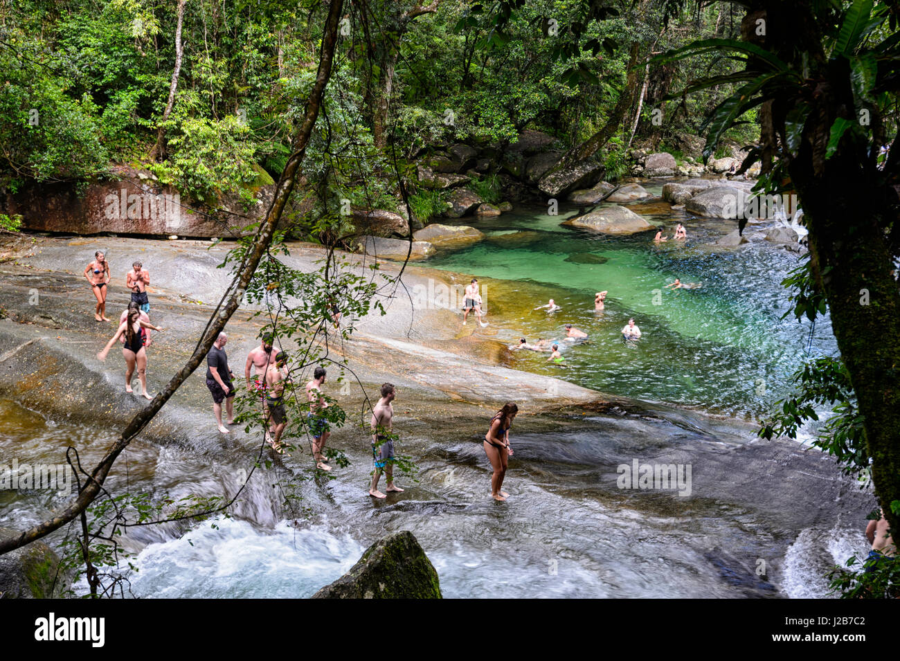 Josephine Falls Ist Ein Beliebter Badeplatz Mit Wunderschonen Wasserfallen Im Wooroonooran National Park In Der Nahe Von Cairns Far North Queensland Queensland Australien Stockfotografie Alamy