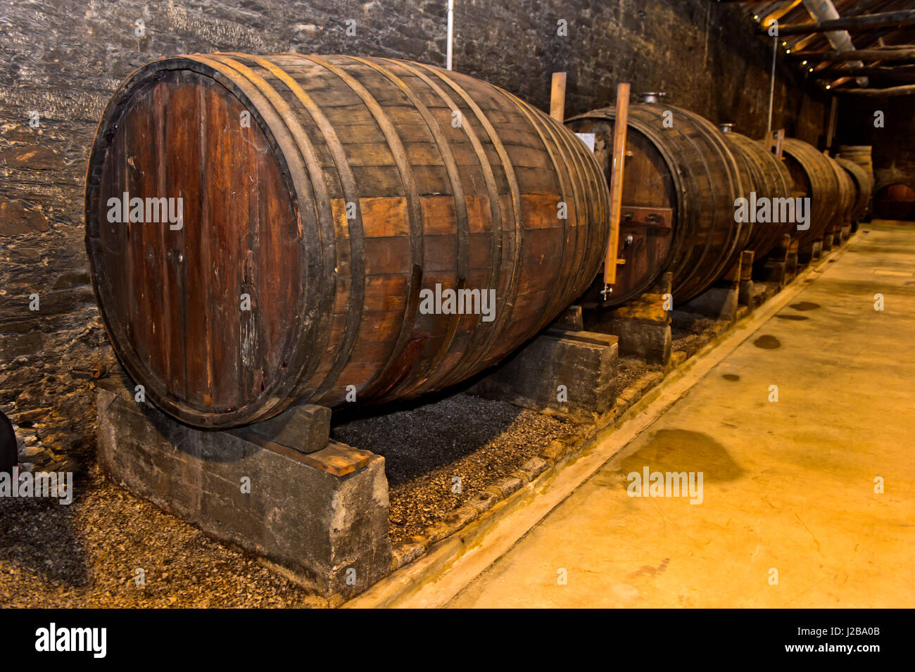 Hafen Weinfässer in einem Weinkeller, Quinta De La Rosa, Pinhao, Alto Douro, Portugal Stockfoto