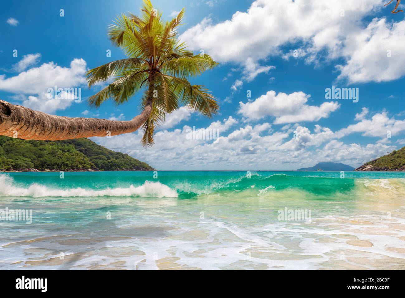 Tropischen Ozeanstrand mit Kokosnuss-Palme in hellen, sonnigen Tag. Stockfoto