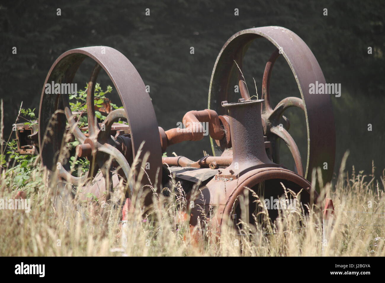 Letzte Ruhestätte von alten Dampfmaschine im Feld von Mais in Chile Stockfoto