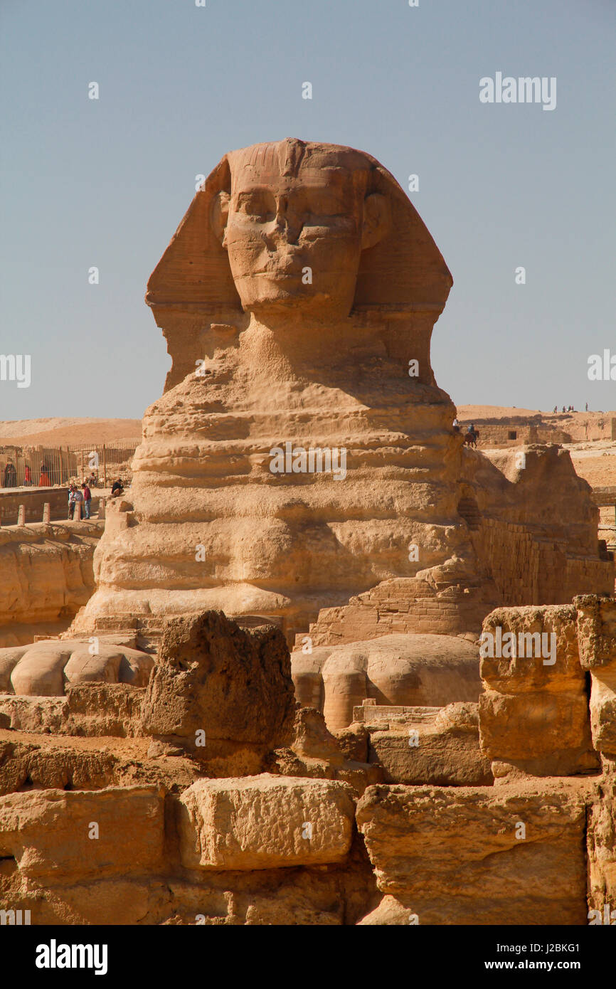 Afrika, Ägypten, Kairo, Gizeh-Plateau, die große Sphinx. Ein Fabelwesen mit dem Körper eines Löwen und eines menschlichen Kopfes. Stockfoto
