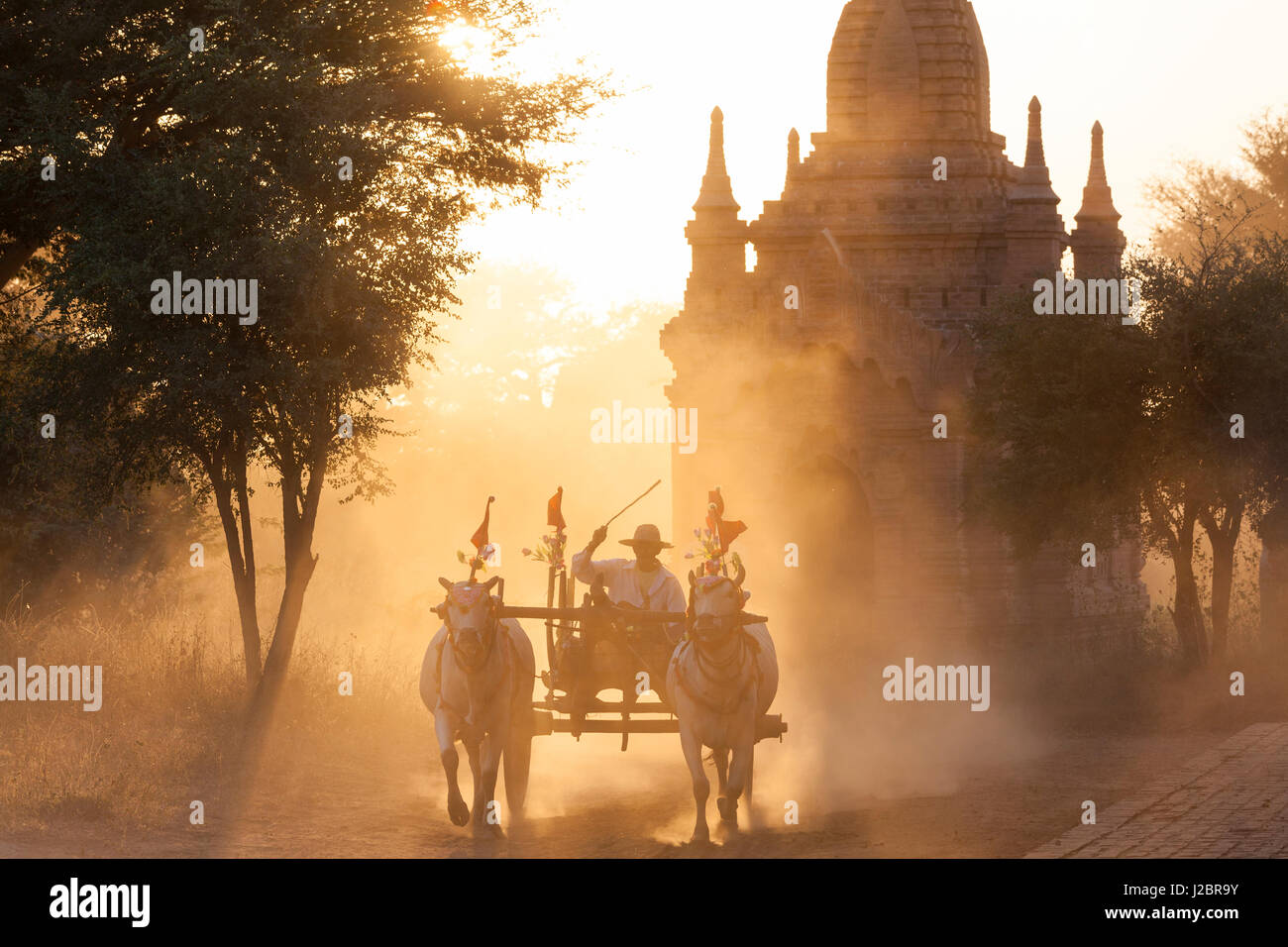Ochsenkarren und Pagode, Sonnenuntergang, Bagan, (Pagan), Myanmar, (Burma) Stockfoto
